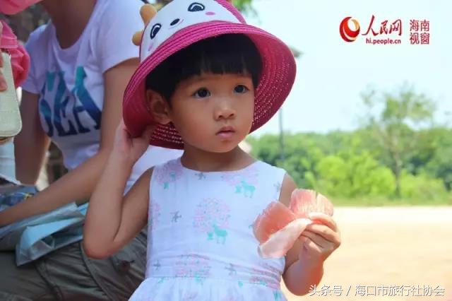 这个季节不能错过的柑橘,这个季节不可错过的水果枇杷