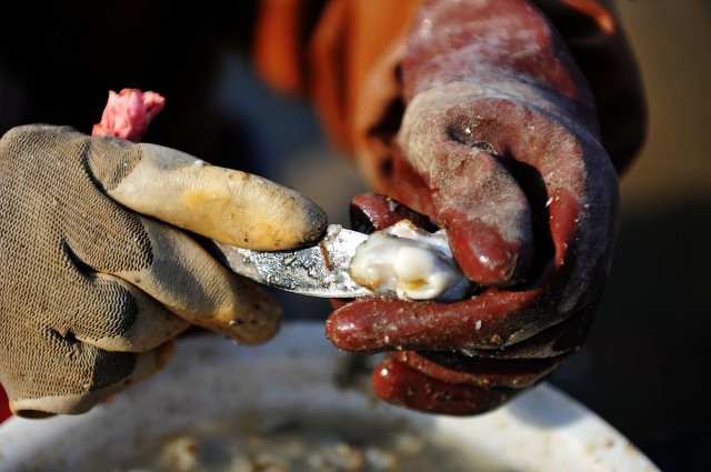 9月适合旅游的最佳地方国外,9月份最好的旅游景点