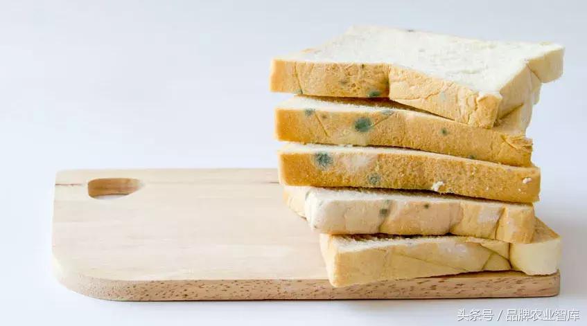 食物发霉，没长霉的地方能吃吗？10个饮食禁忌要注意