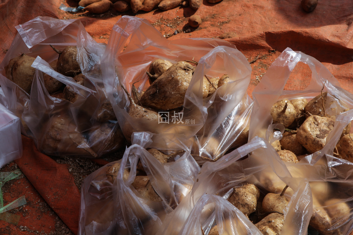 囧叔带你逛逛云南瑞丽那些游客找不到东西新鲜又实惠的市场