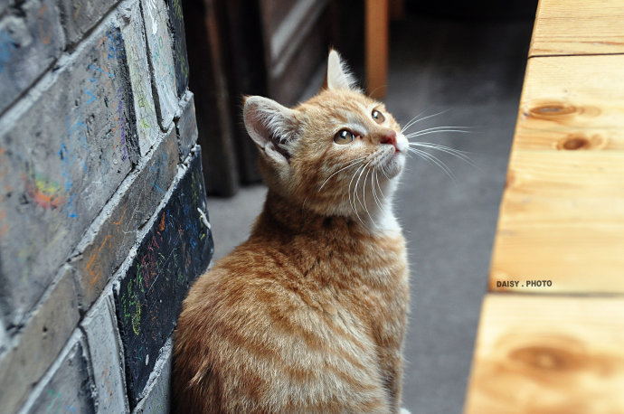 freshwater可不是“新鲜的水”！不要看到英文就直译！