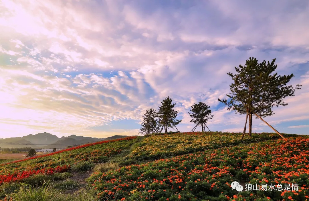 狼牙山深秋百花园,狼牙山百花园樱花图片