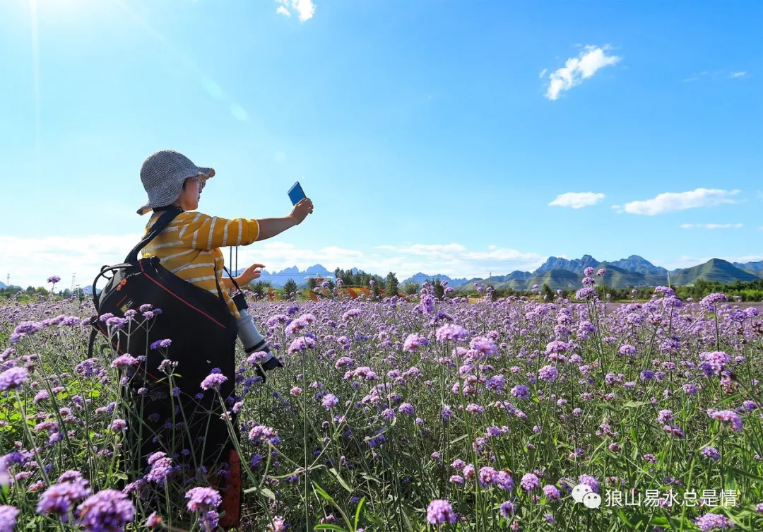 狼牙山深秋百花园,狼牙山百花园樱花图片