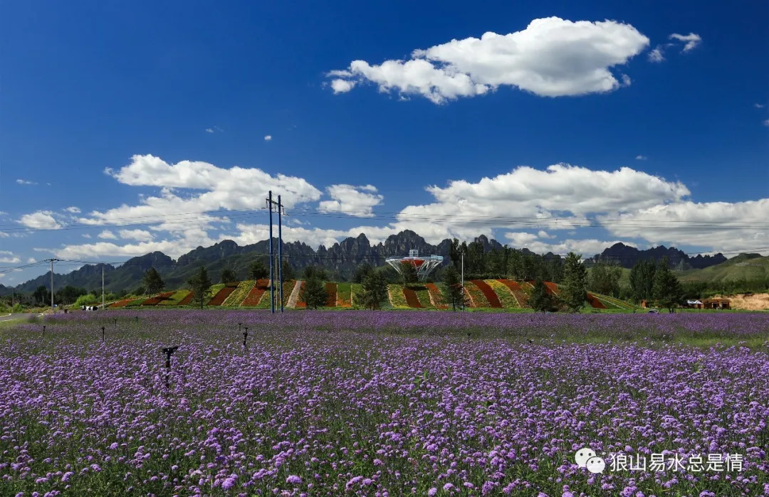 狼牙山深秋百花园,狼牙山百花园樱花图片