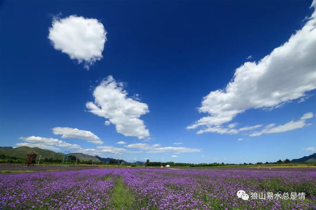 狼牙山深秋百花园,狼牙山百花园樱花图片