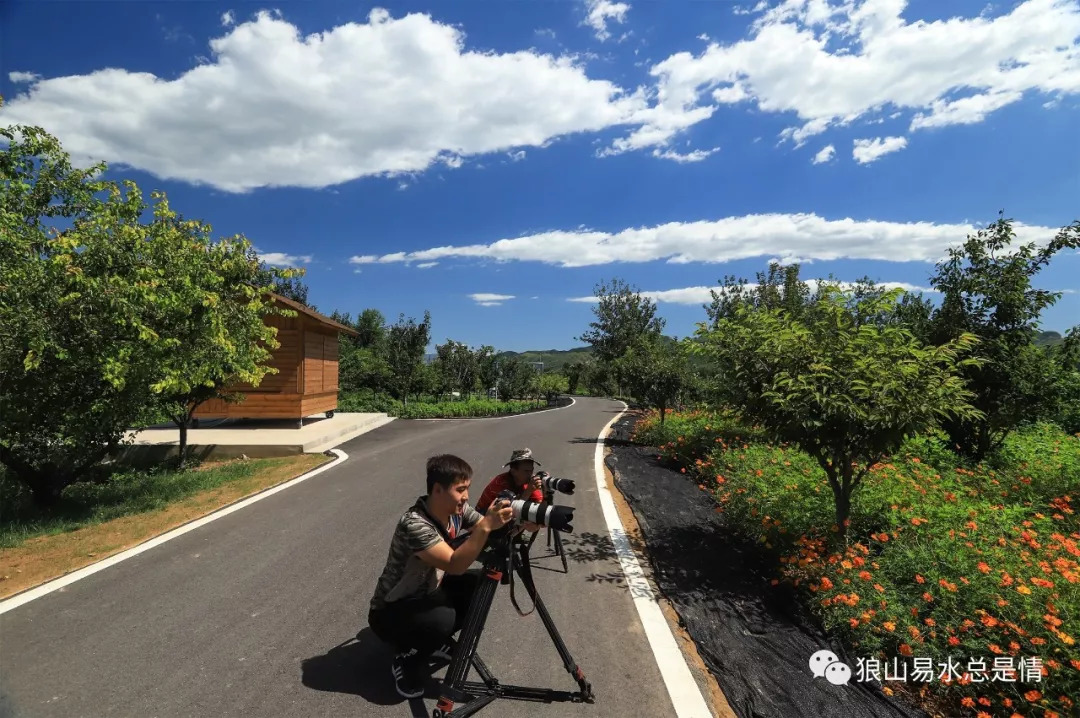 狼牙山深秋百花园,狼牙山百花园樱花图片