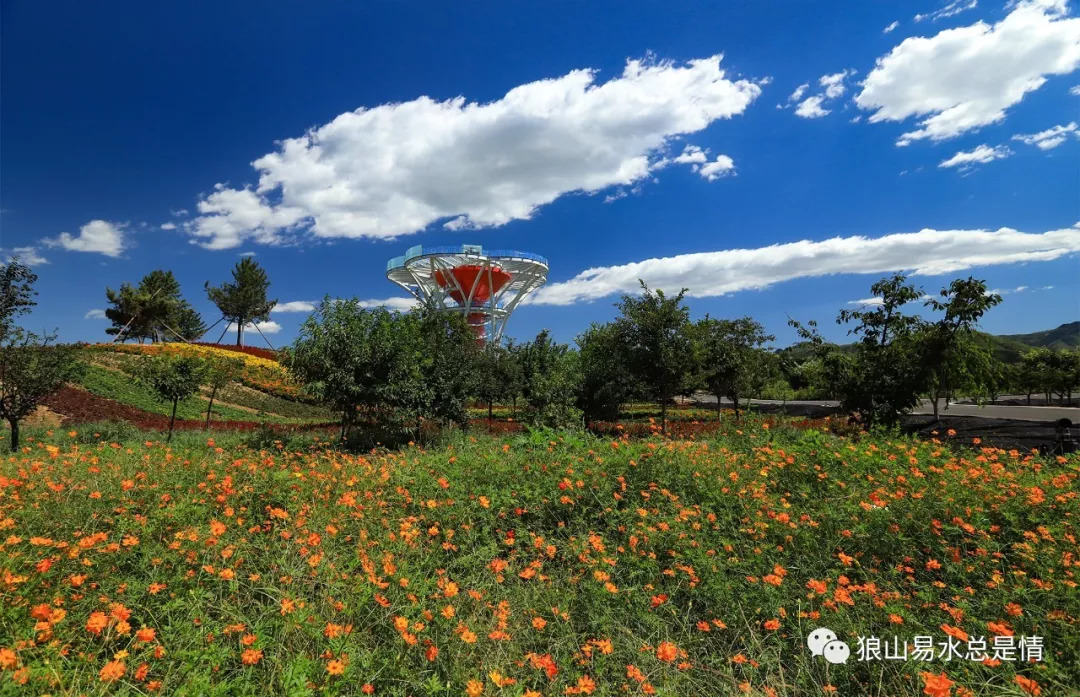 狼牙山深秋百花园,狼牙山百花园樱花图片