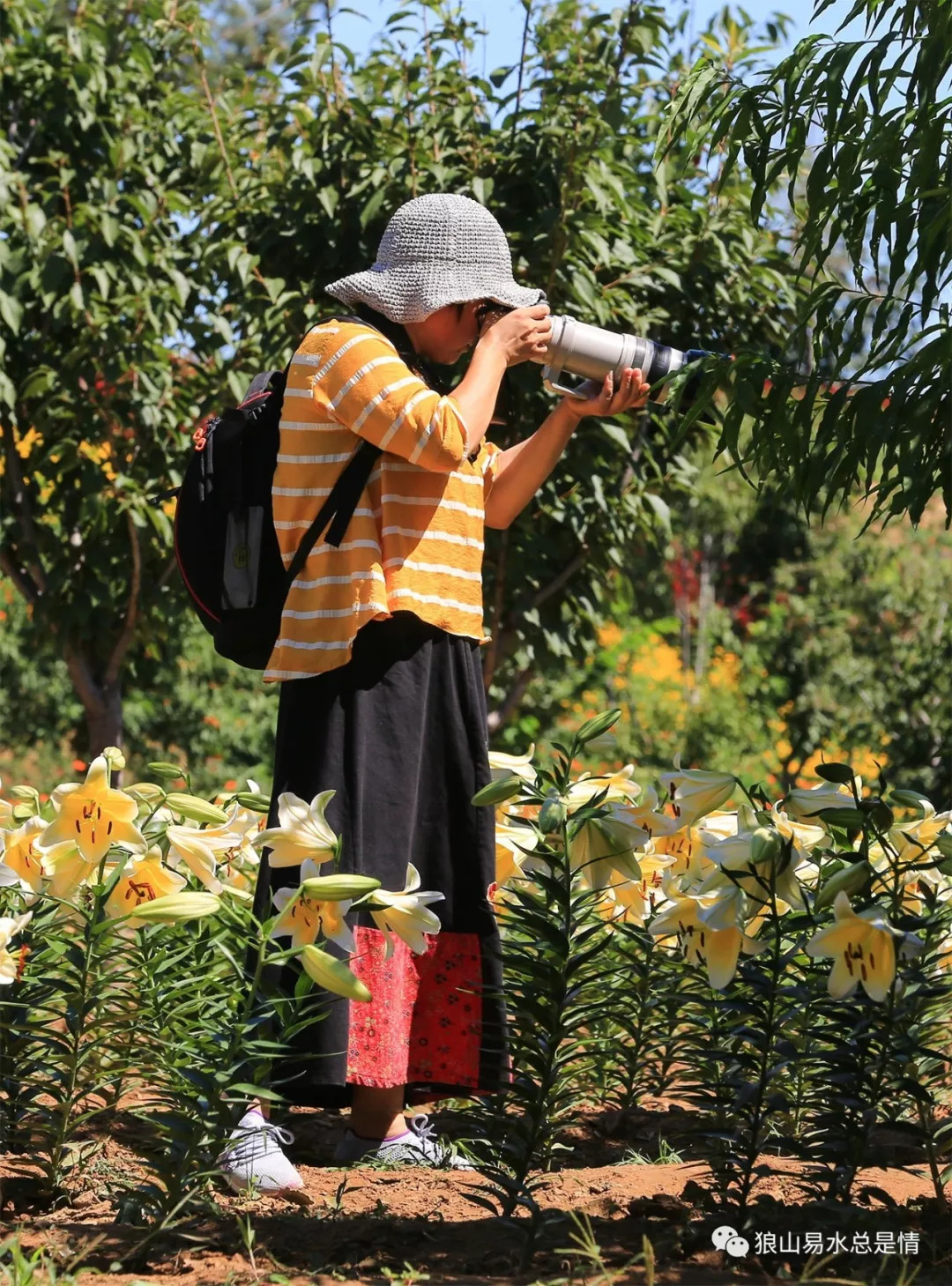狼牙山深秋百花园,狼牙山百花园樱花图片