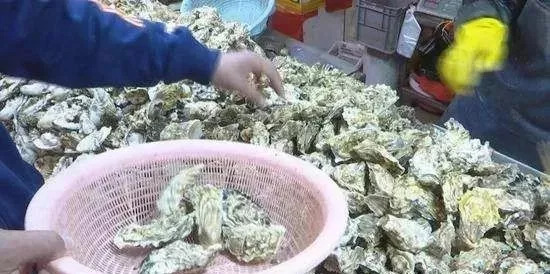 开海了又吃得起海鲜了,开海了吃海鲜视频