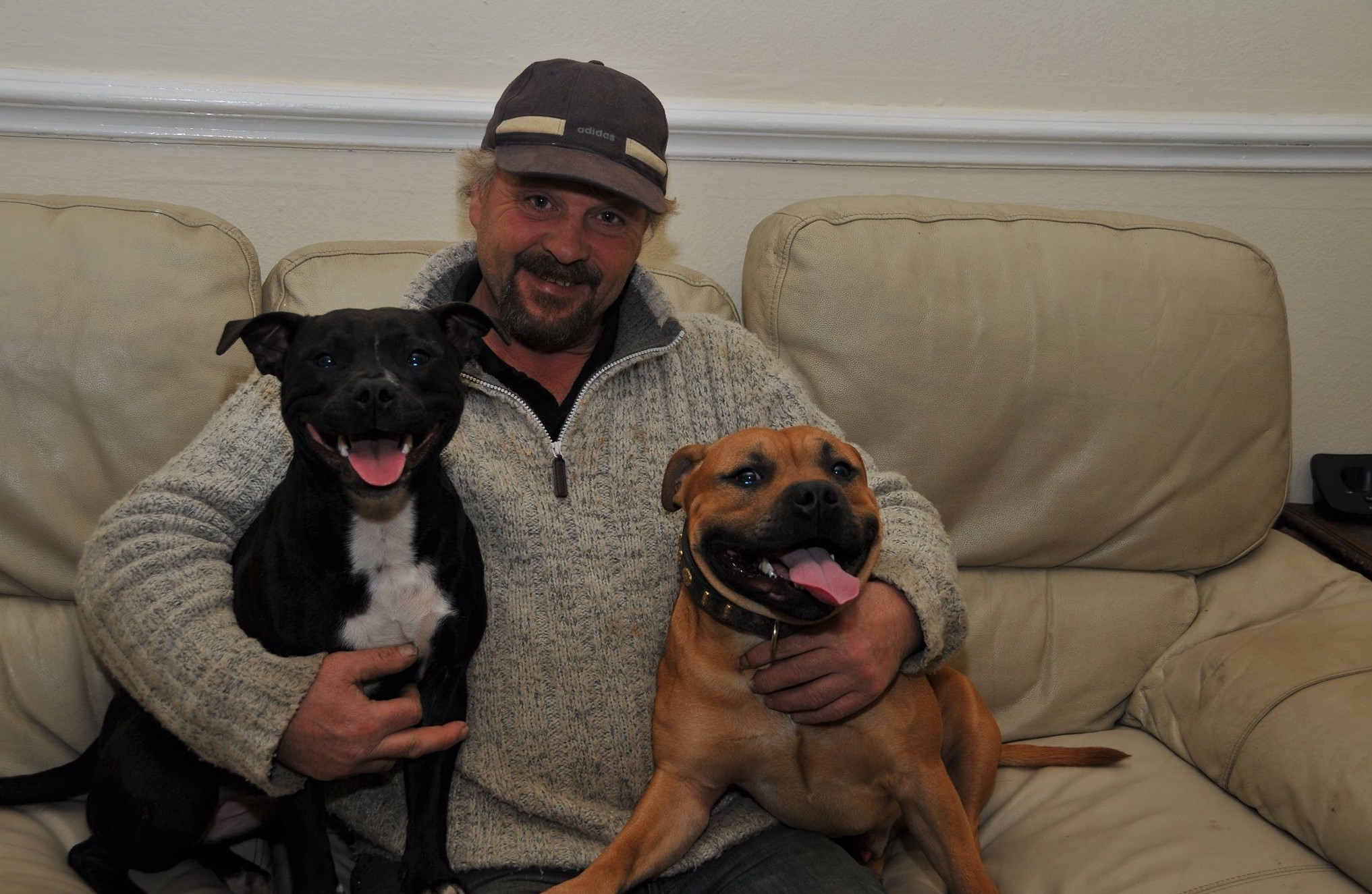 狗狗在妈妈面前被「宠物床」杀死，饲主几乎崩溃：千万不要买这种