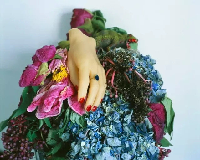 兰波与花朵|这朵花的名字叫做“名字”