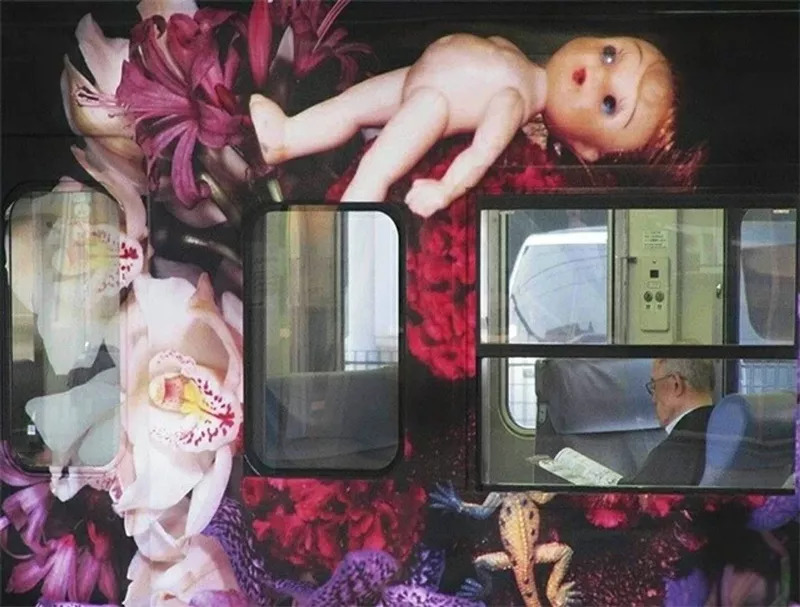 兰波与花朵|这朵花的名字叫做“名字”