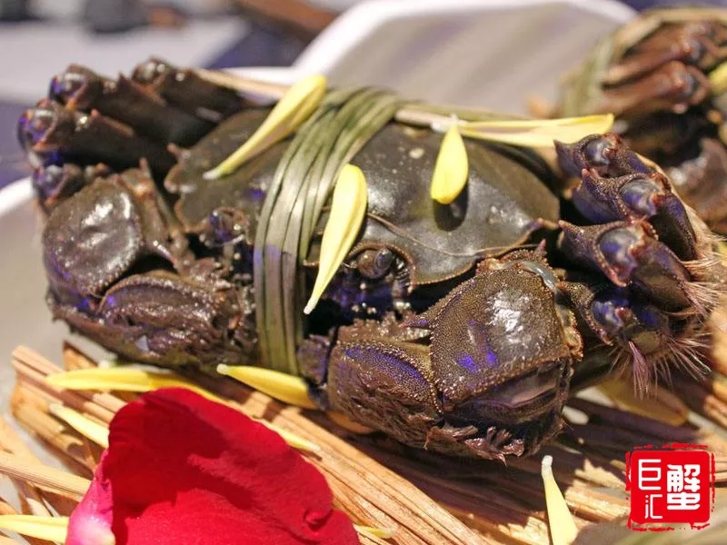 阳澄湖大闸蟹正确保存方法,阳澄湖大闸蟹怎么保存视频