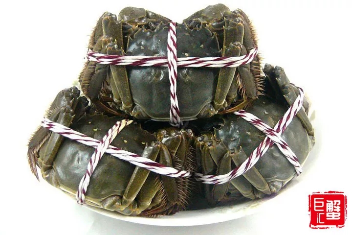 阳澄湖大闸蟹正确保存方法,阳澄湖大闸蟹怎么保存视频