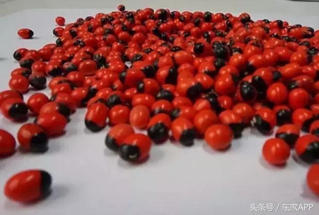 文玩手艺人,什么文玩手串不怕汗直接上手戴