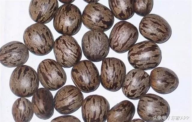 文玩手艺人,什么文玩手串不怕汗直接上手戴