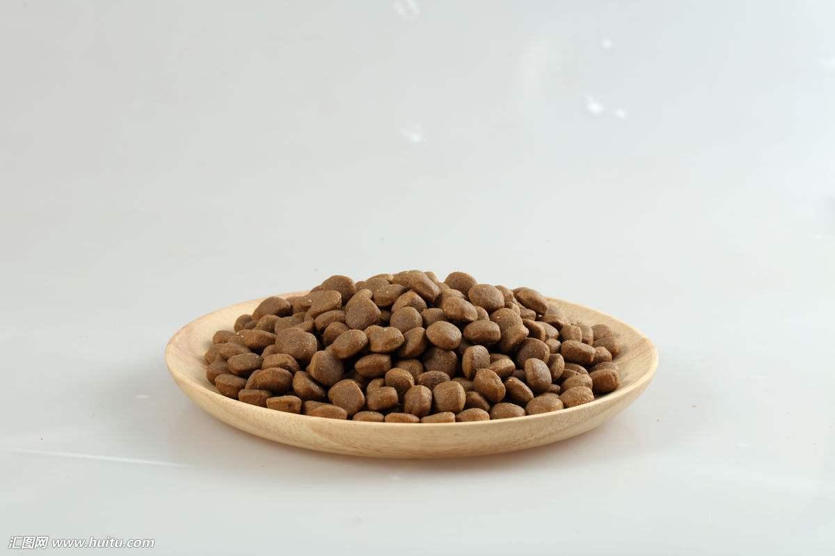 怎么给猫咪挑选合适的猫粮,猫咪适合吃的猫粮家趣猫粮