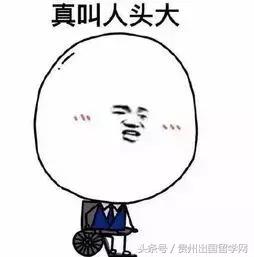 澳洲机场安检不允许携带的物品,澳洲航空行李最新规定