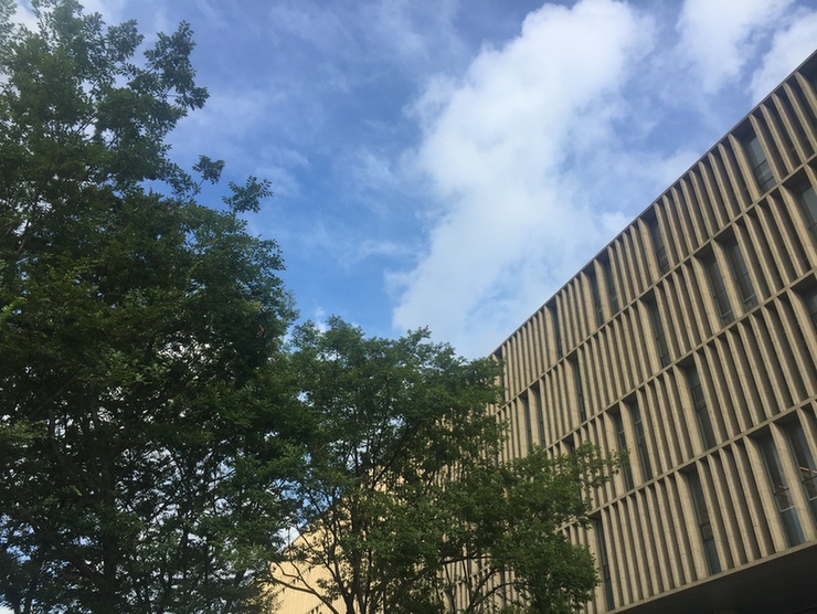 上海浦东图书馆,读一本书看一座城