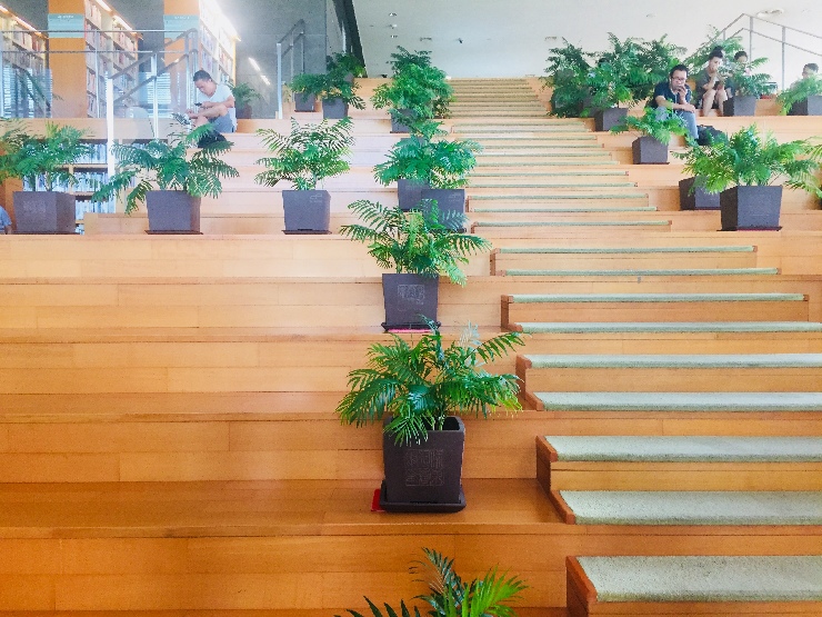 上海浦东图书馆,读一本书看一座城