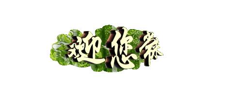 美丽好看的茶花图片,绝美茶花