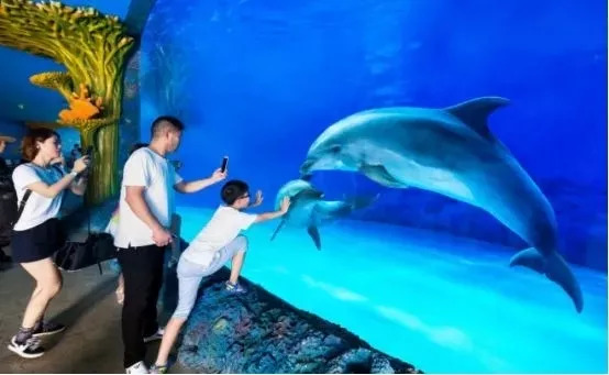 横店梦幻谷玩水需要带什么,梦幻谷横店门票团购优惠直播