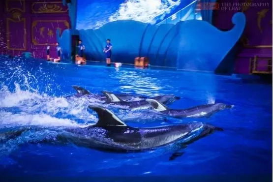 横店梦幻谷玩水需要带什么,梦幻谷横店门票团购优惠直播