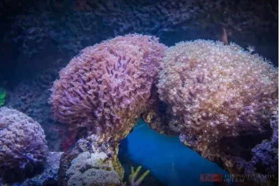 横店梦幻谷玩水需要带什么,梦幻谷横店门票团购优惠直播