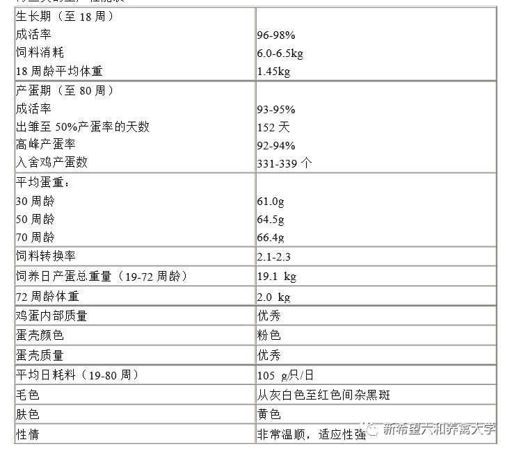 蛋鸡品种大全视频,农金1号蛋鸡品种介绍