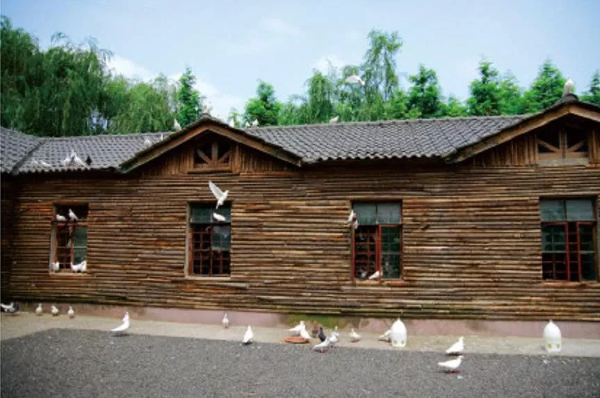 农业可以做什么买卖,江山农产品销路