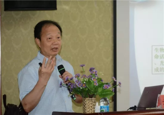 「教育」琥珀鉴定与商贸课程（深圳）开始报名！