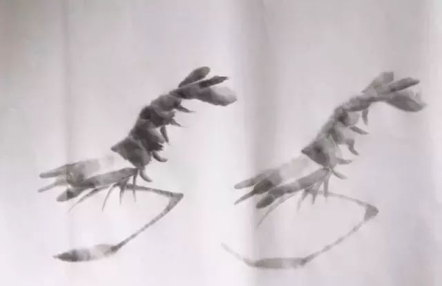 简单的画虾教程儿童,最简单的画虾的方法