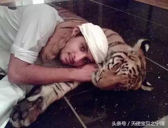 真实的迪拜风景,真实的迪拜酒店