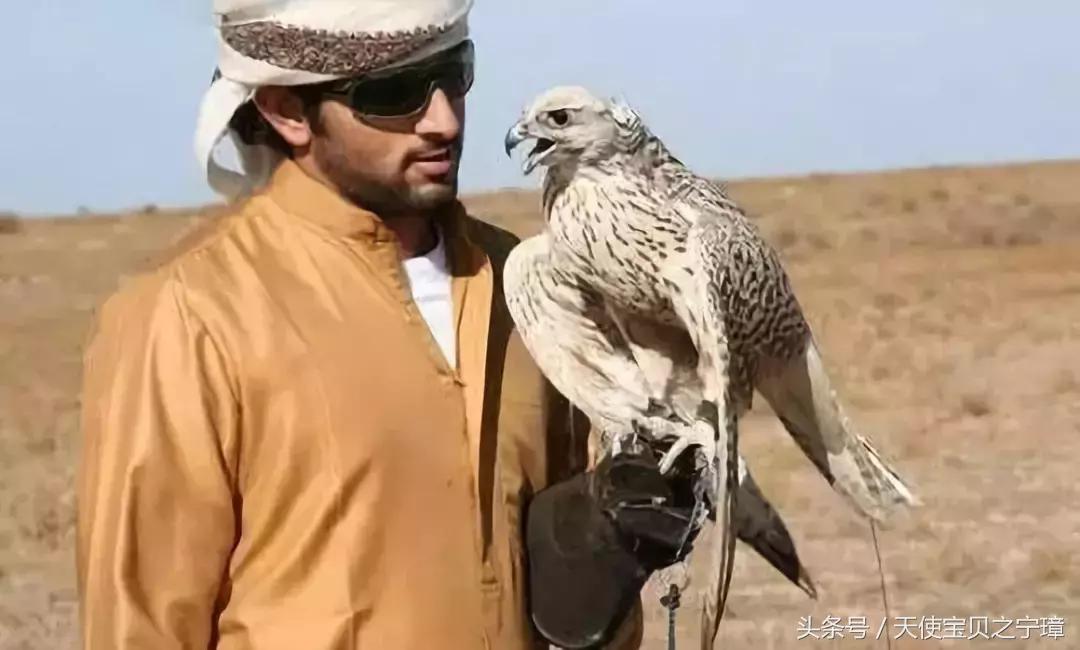 真实的迪拜风景,真实的迪拜酒店