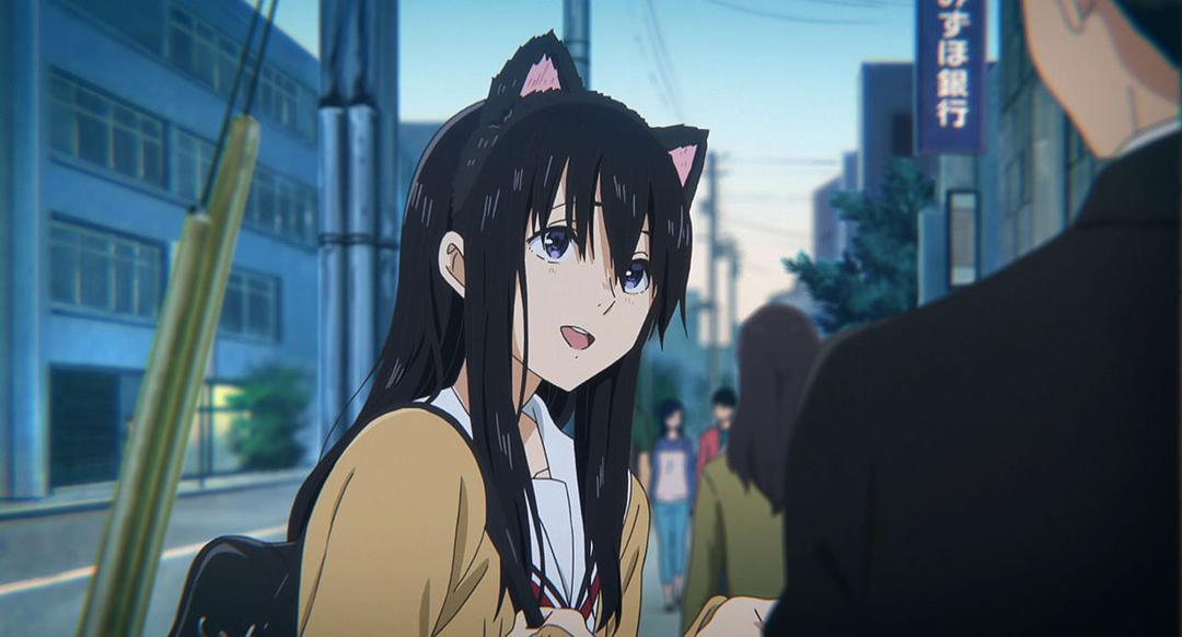 动漫中的bd版是啥意思,动画bdbox是什么