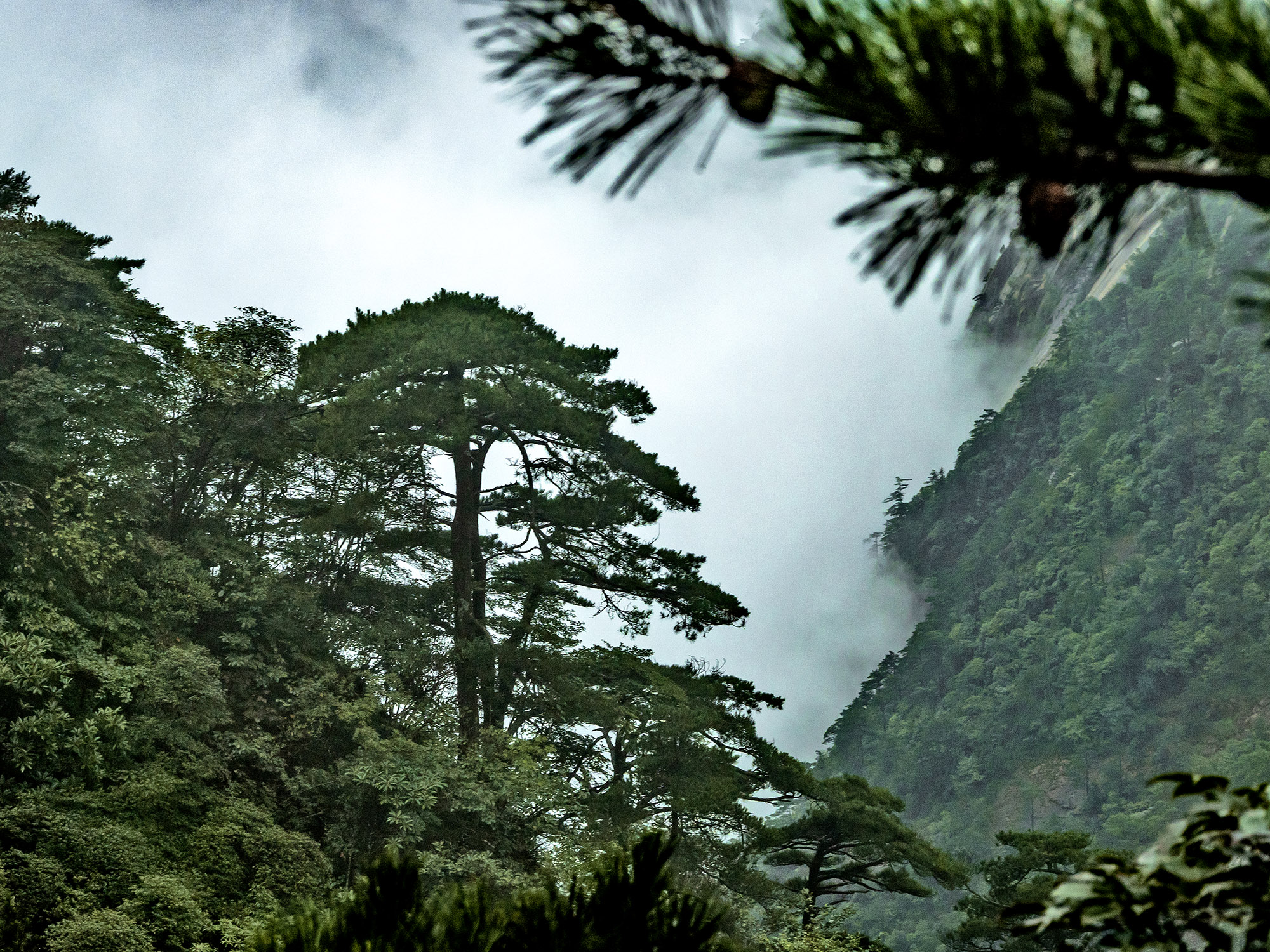 一支香烟毁掉了一家公司,一支烟毁了一生