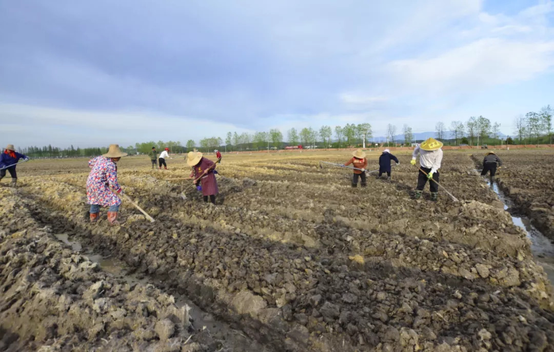 最实用｜提醒！海淀居民注意啦！9月有新变化！