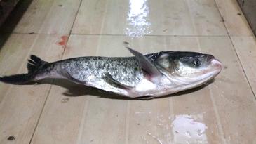 不搞团购优惠的餐饮店,不搞任何优惠的饭店