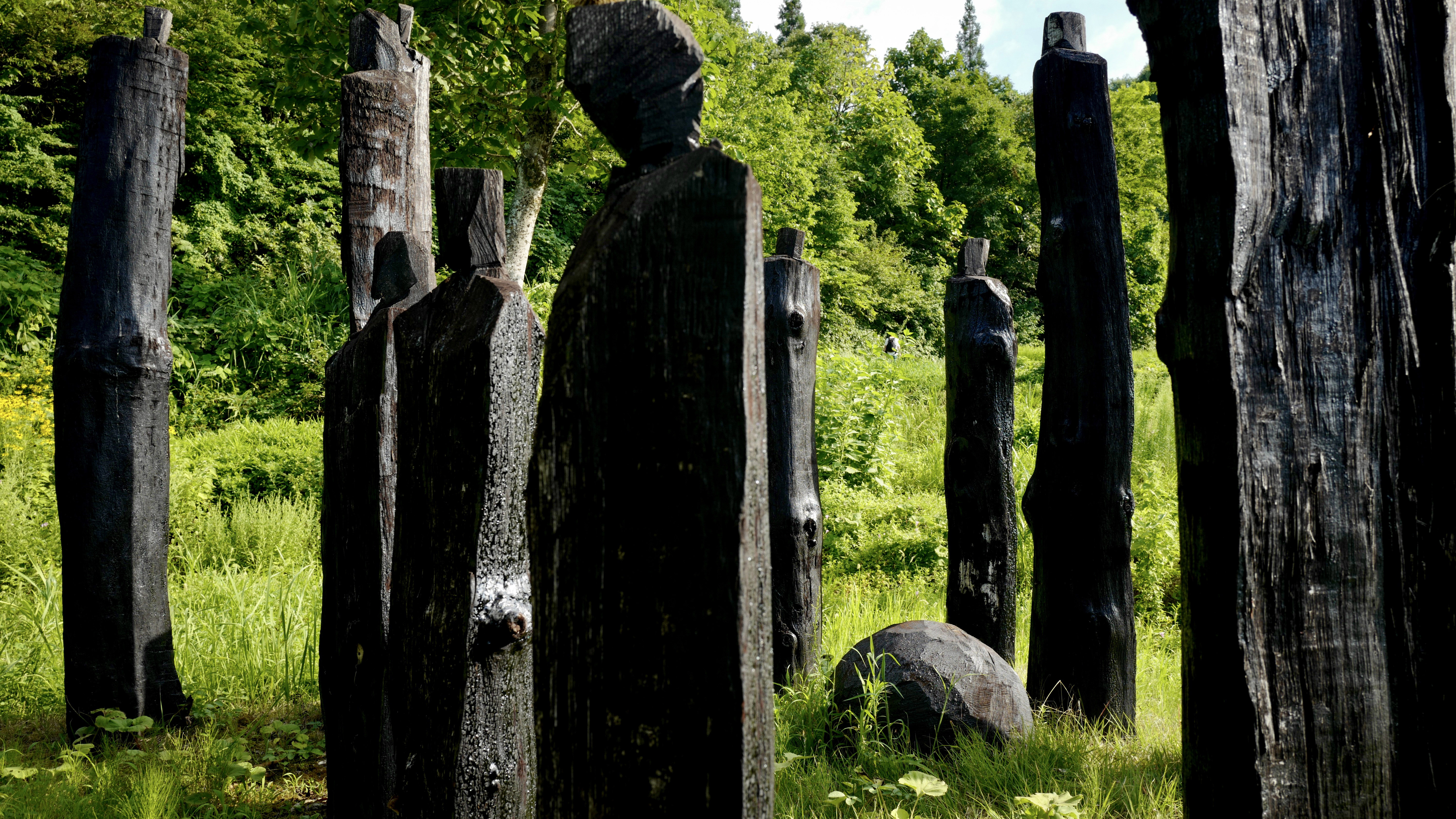 日本赴中国旅游,越后妻举办大地艺术祭的旅游价值