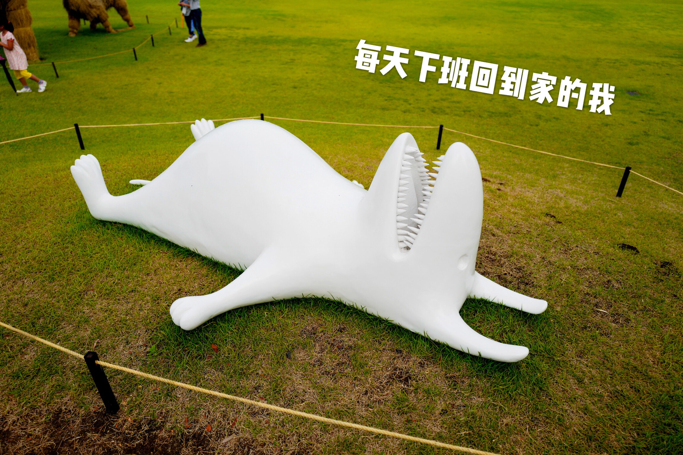 日本赴中国旅游,越后妻举办大地艺术祭的旅游价值