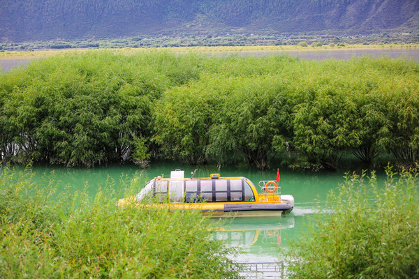 九月份的江南风景,四月的江南风景