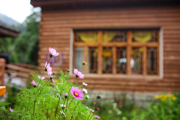 九月份的江南风景,四月的江南风景