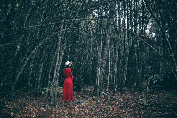 九月份的江南风景,四月的江南风景