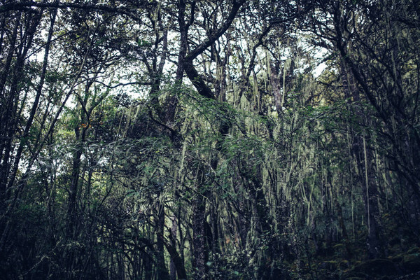 九月份的江南风景,四月的江南风景