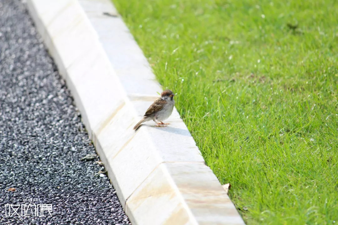 鍗楀畞闈掔骞胯タ鑹烘湳瀛﹂櫌,骞胯タ鑹烘湳瀛﹂櫌闈掔