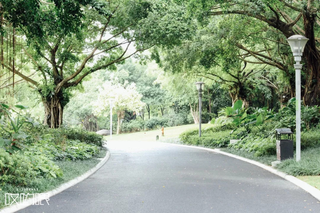 鍗楀畞闈掔骞胯タ鑹烘湳瀛﹂櫌,骞胯タ鑹烘湳瀛﹂櫌闈掔