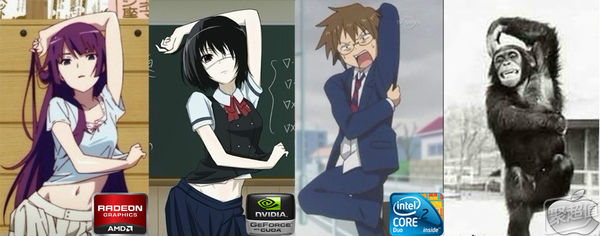 显卡的真实故事,揭秘显卡的秘密