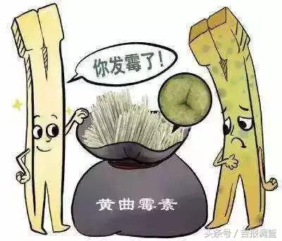 筷子使用前如何处理专家讲述,生活常识知识大全筷子