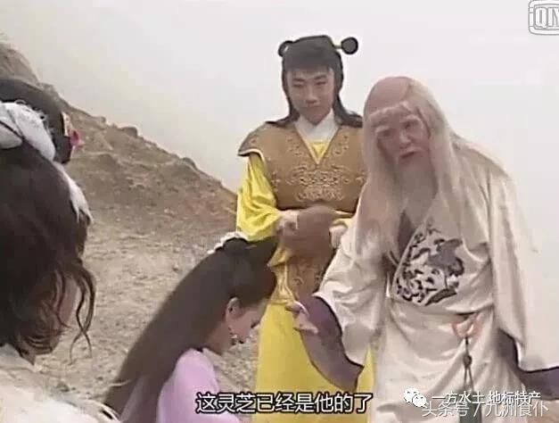 延禧攻略大猪蹄子台词在第几集,延禧攻略大猪蹄子踢人合集