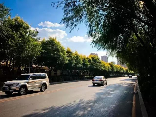 沈马绝美图片,沈马最好看的照片